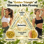 Berberine 10-in-1 Microneedle Wellness Patch | Élvaré